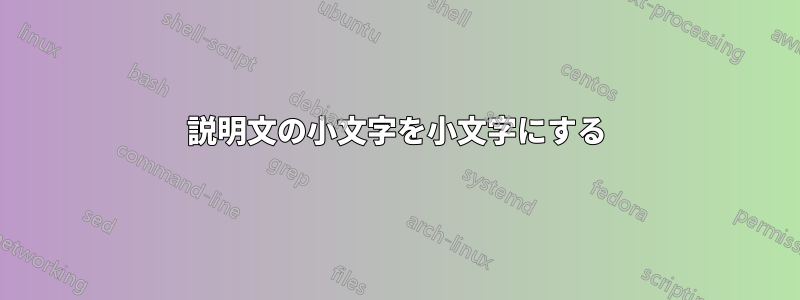 説明文の小文字を小文字にする