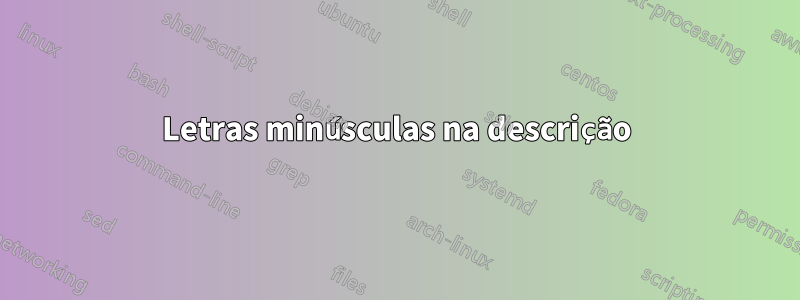 Letras minúsculas na descrição