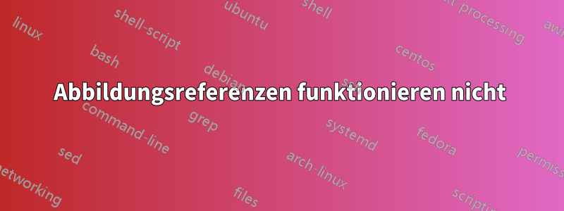 Abbildungsreferenzen funktionieren nicht