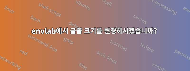 envlab에서 글꼴 크기를 변경하시겠습니까?