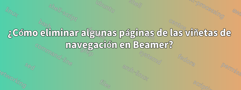 ¿Cómo eliminar algunas páginas de las viñetas de navegación en Beamer?