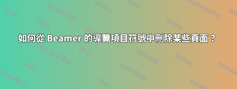 如何從 Beamer 的導覽項目符號中刪除某些頁面？