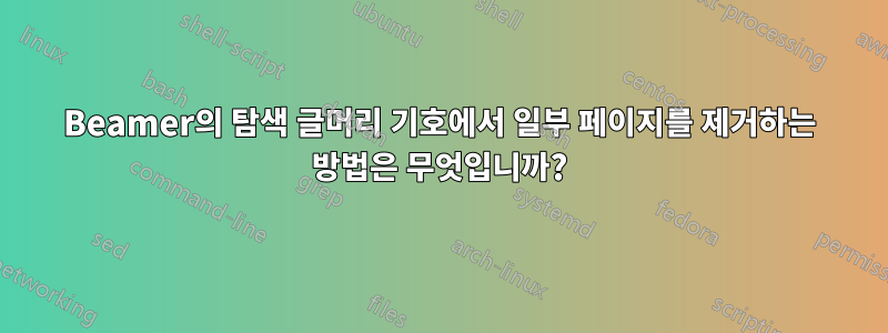 Beamer의 탐색 글머리 기호에서 일부 페이지를 제거하는 방법은 무엇입니까?