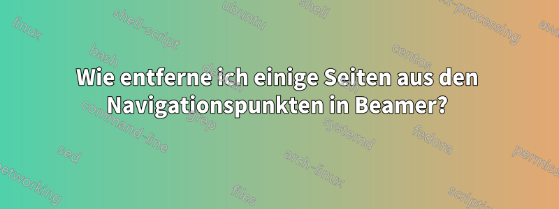 Wie entferne ich einige Seiten aus den Navigationspunkten in Beamer?
