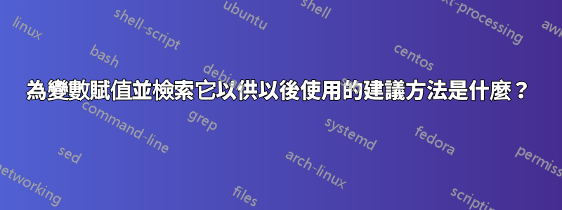 為變數賦值並檢索它以供以後使用的建議方法是什麼？