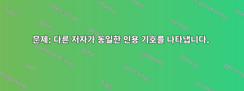 문제: 다른 저자가 동일한 인용 기호를 나타냅니다.