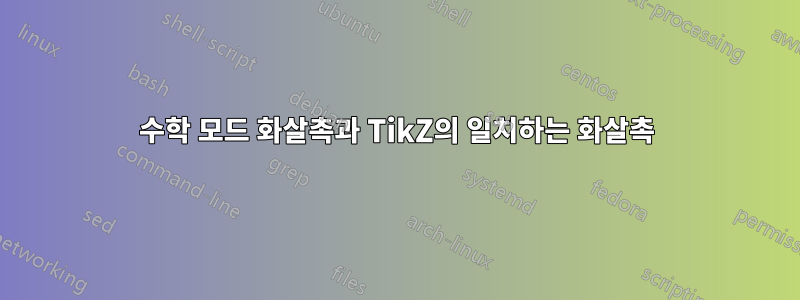 수학 모드 화살촉과 TikZ의 일치하는 화살촉