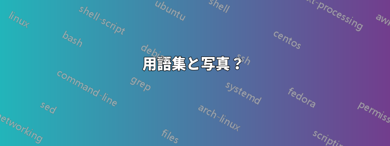 用語集と写真？