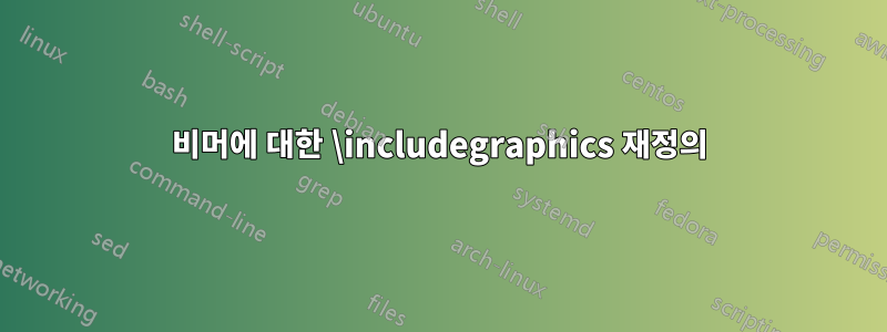 비머에 대한 \includegraphics 재정의