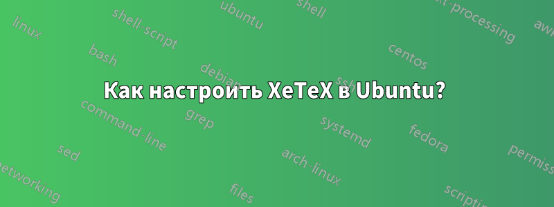 Как настроить XeTeX в Ubuntu?