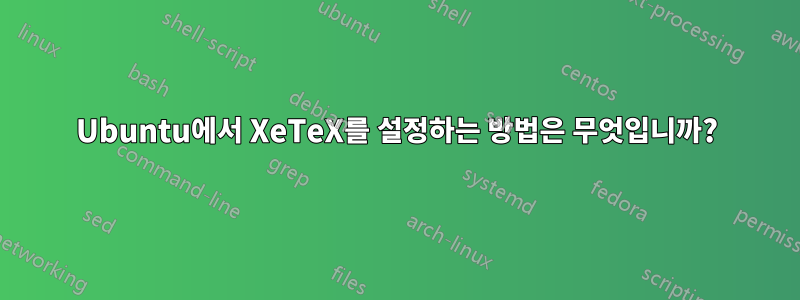 Ubuntu에서 XeTeX를 설정하는 방법은 무엇입니까?