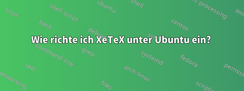 Wie richte ich XeTeX unter Ubuntu ein?
