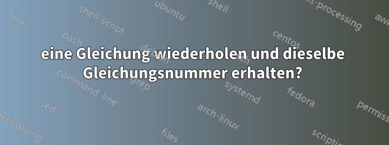 eine Gleichung wiederholen und dieselbe Gleichungsnummer erhalten?