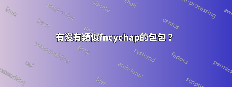 有沒有類似fncychap的包包？