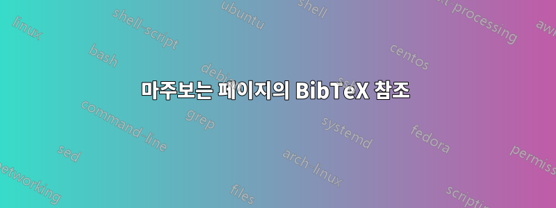 마주보는 페이지의 BibTeX 참조