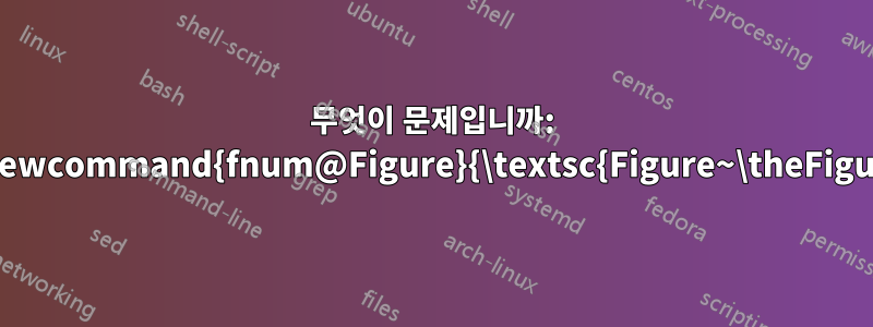 무엇이 문제입니까: \renewcommand{fnum@Figure}{\textsc{Figure~\theFigure}}