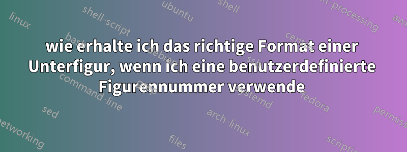 wie erhalte ich das richtige Format einer Unterfigur, wenn ich eine benutzerdefinierte Figurennummer verwende