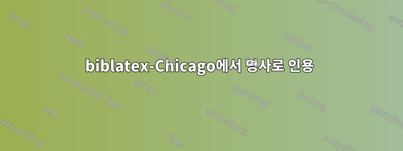 biblatex-Chicago에서 명사로 인용