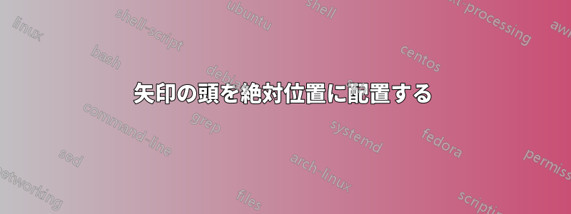 矢印の頭を絶対位置に配置する