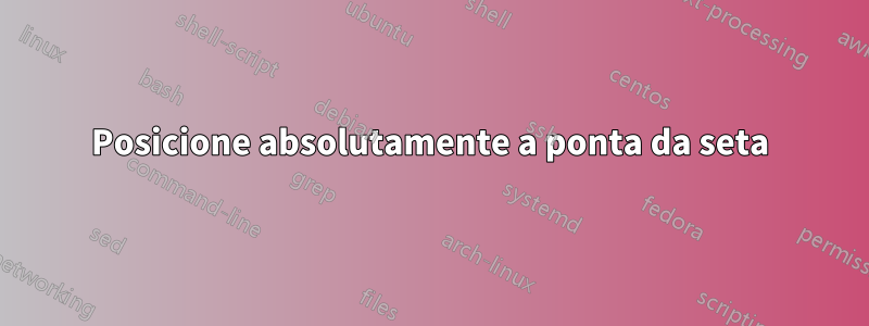 Posicione absolutamente a ponta da seta