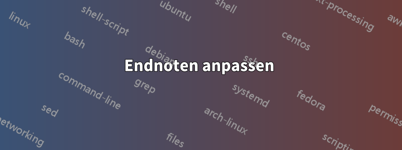 Endnoten anpassen