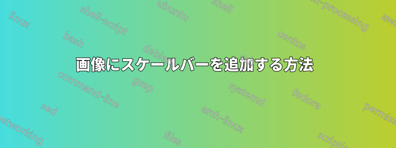 画像にスケールバーを追加する方法 
