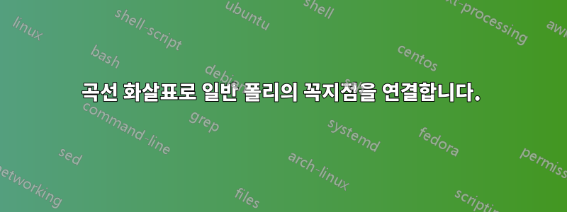 곡선 화살표로 일반 폴리의 꼭지점을 연결합니다.