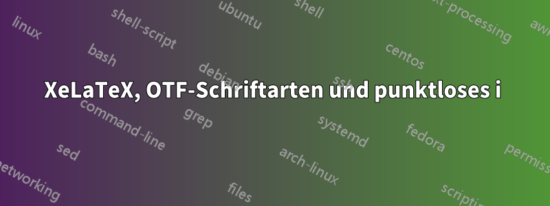 XeLaTeX, OTF-Schriftarten und punktloses i