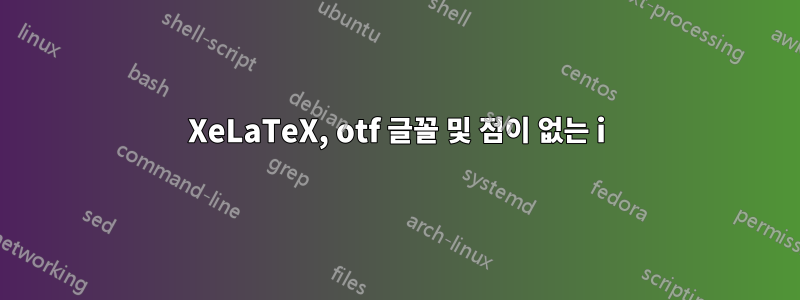XeLaTeX, otf 글꼴 및 점이 없는 i