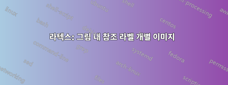 라텍스: 그림 내 참조 라벨 개별 이미지 