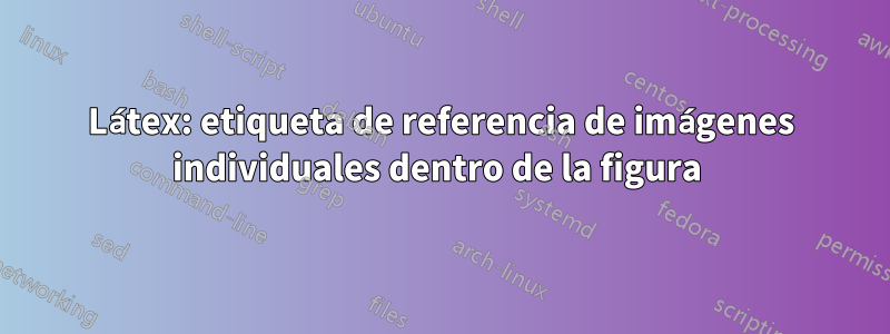 Látex: etiqueta de referencia de imágenes individuales dentro de la figura 