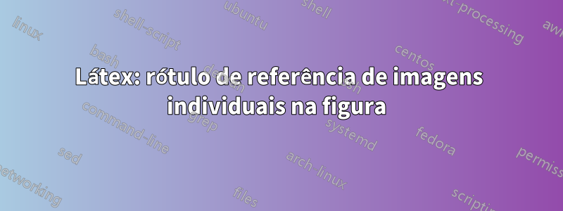 Látex: rótulo de referência de imagens individuais na figura 
