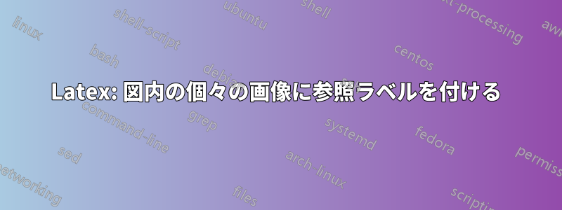 Latex: 図内の個々の画像に参照ラベルを付ける 