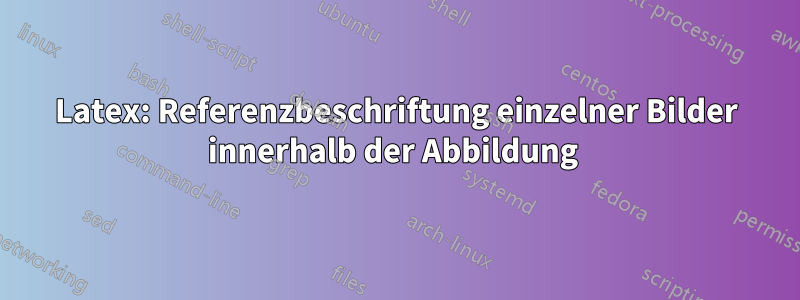 Latex: Referenzbeschriftung einzelner Bilder innerhalb der Abbildung 