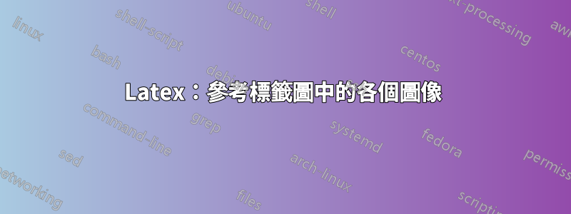 Latex：參考標籤圖中的各個圖像
