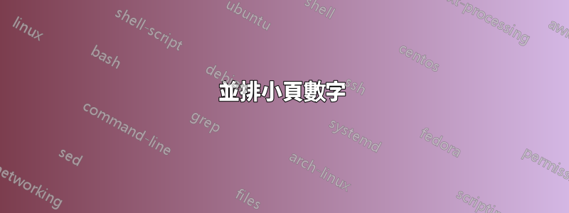 並排小頁數字