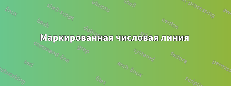 Маркированная числовая линия