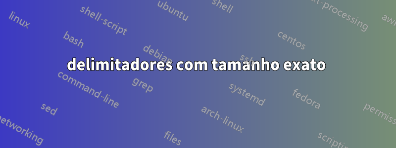 delimitadores com tamanho exato