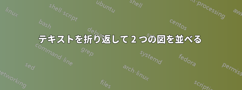 テキストを折り返して 2 つの図を並べる