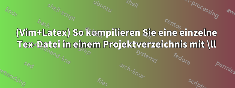 (Vim+Latex) So kompilieren Sie eine einzelne Tex-Datei in einem Projektverzeichnis mit \ll