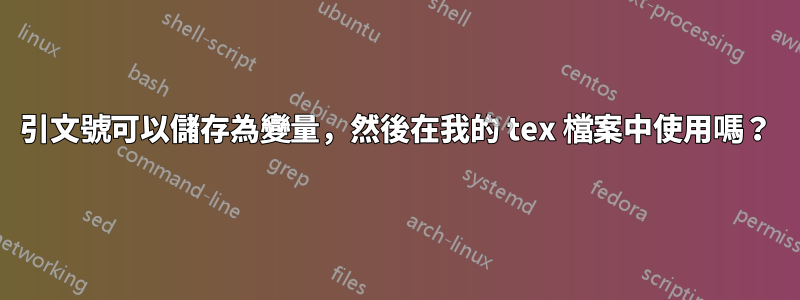 引文號可以儲存為變量，然後在我的 tex 檔案中使用嗎？