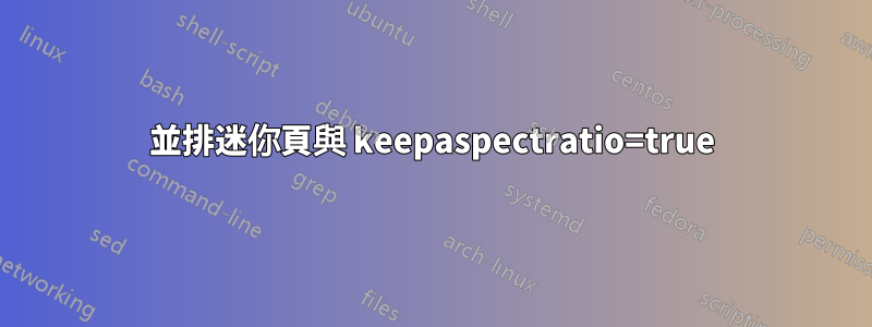 並排迷你頁與 keepaspectratio=true