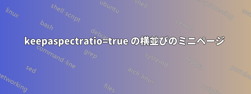 keepaspectratio=true の横並びのミニページ