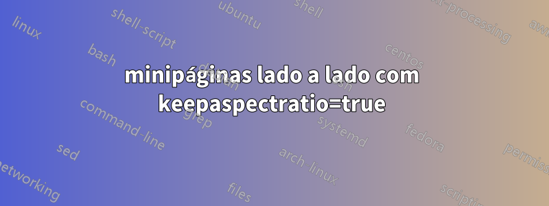 minipáginas lado a lado com keepaspectratio=true