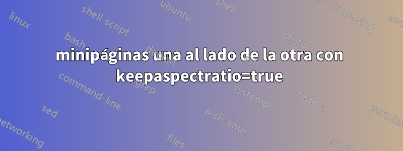 minipáginas una al lado de la otra con keepaspectratio=true