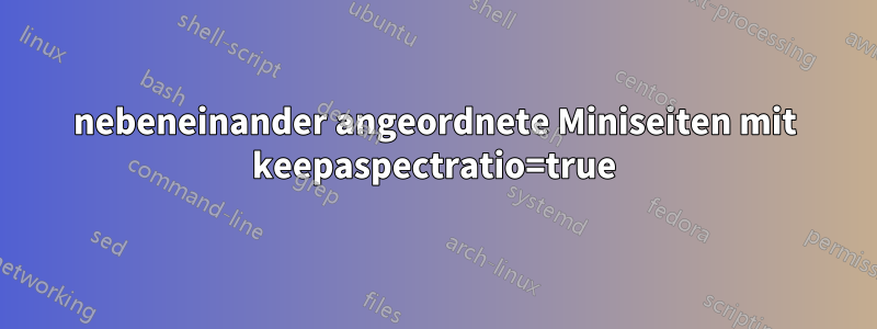 nebeneinander angeordnete Miniseiten mit keepaspectratio=true