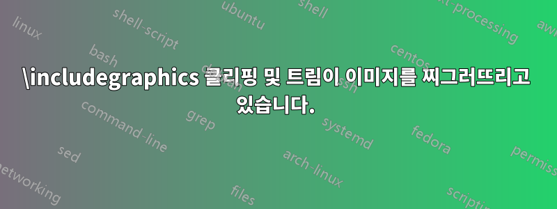 \includegraphics 클리핑 및 트림이 이미지를 찌그러뜨리고 있습니다.