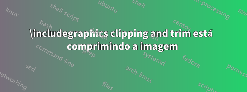 \includegraphics clipping and trim está comprimindo a imagem