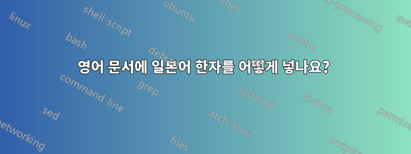 영어 문서에 일본어 한자를 어떻게 넣나요?