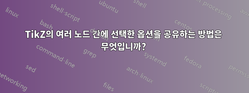 TikZ의 여러 노드 간에 선택한 옵션을 공유하는 방법은 무엇입니까?